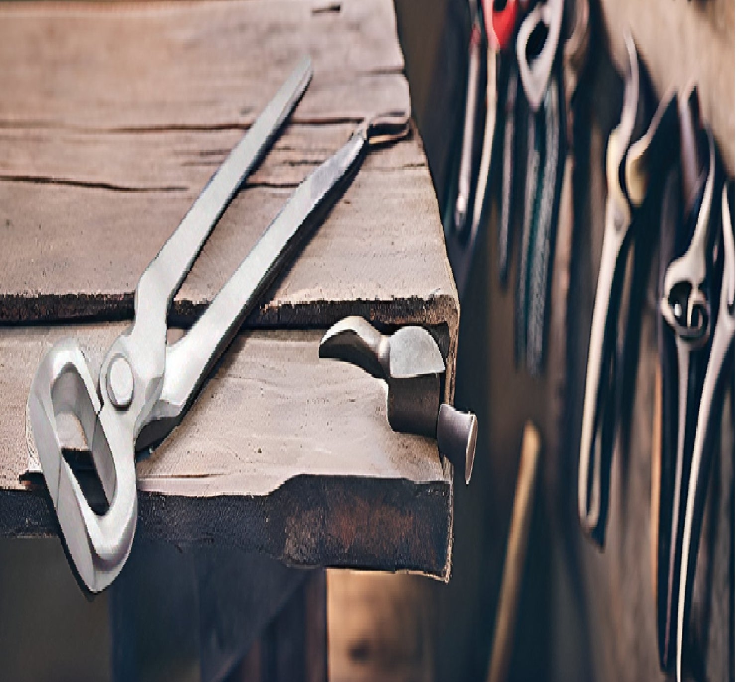 Equestrian Instruments