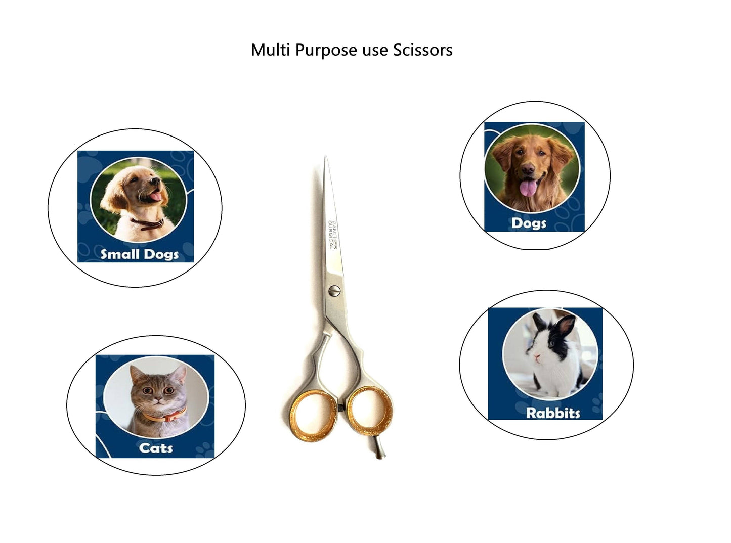 Stainless Steel 6.5 Inch Sand Finish Professional & Personal Multiple Use Hair Cutting Salon Barber Sharp Edge Men,Women,and Adult Hair Dresser Scissors